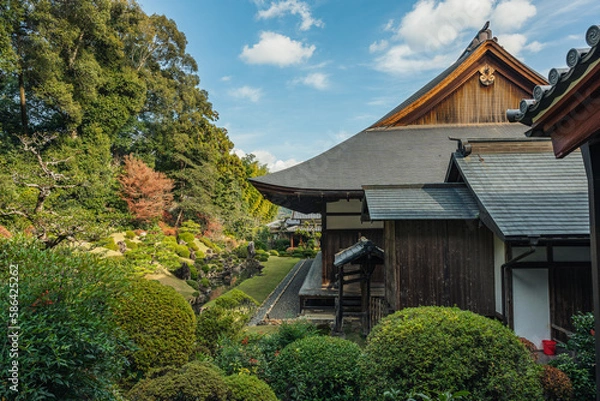 Obraz 日本庭園と寺
