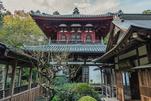 Obraz 寺と空
