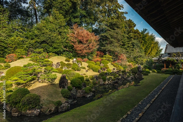 Obraz 日本庭園と石