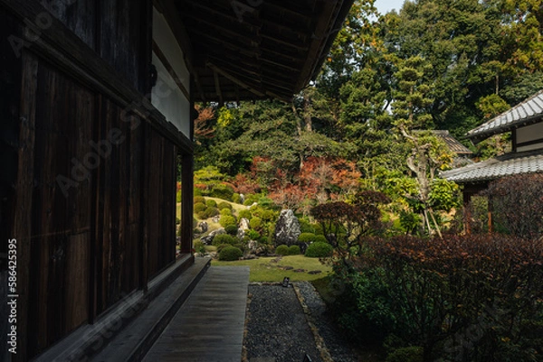 Obraz 龍潭寺の日本庭園