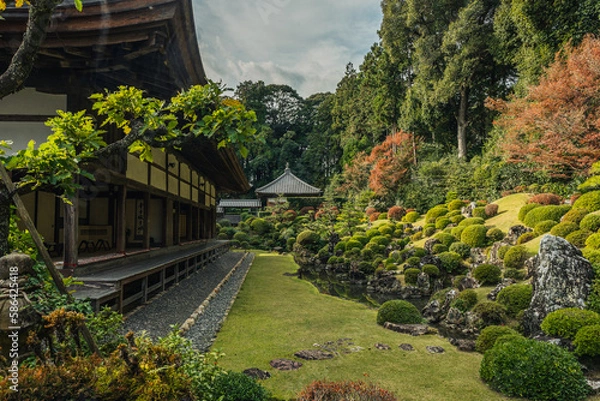 Obraz 龍潭寺の日本庭園