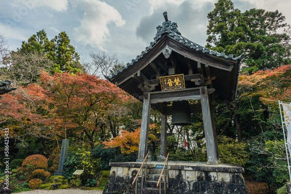 Obraz 龍潭寺の日本庭園