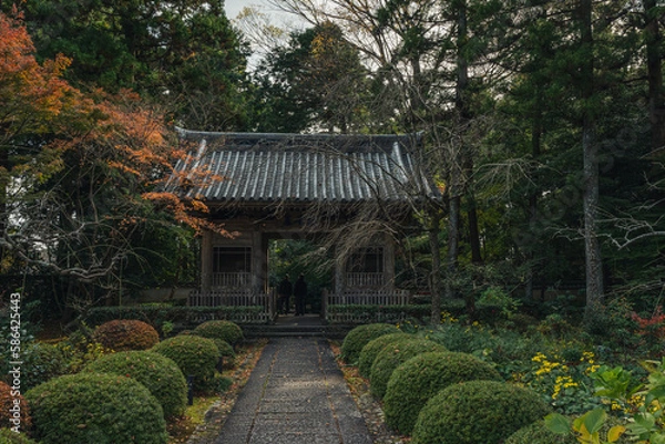 Obraz 寺と続く道