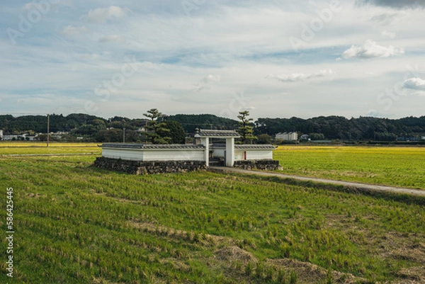 Obraz 野原の真ん中に