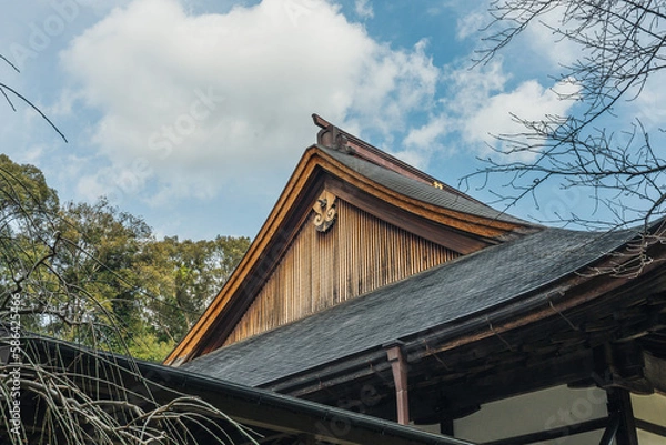 Obraz 寺の屋根と空