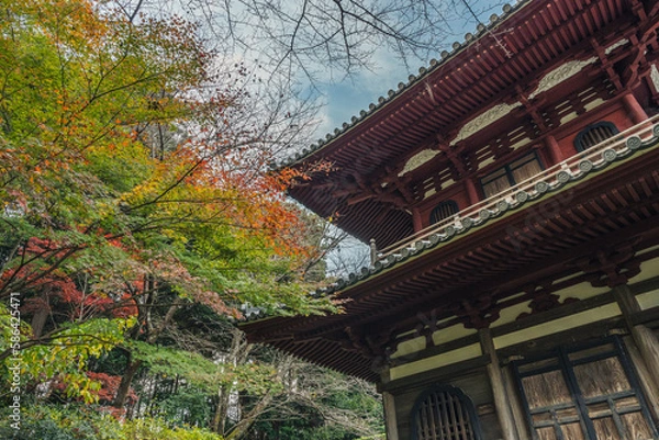 Obraz 寺の屋根と紅葉