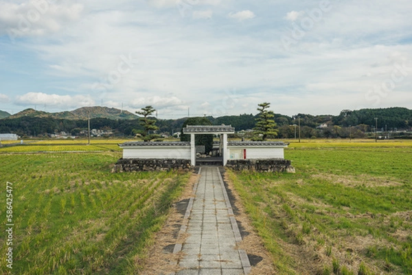 Obraz 野原にぽつんと寺