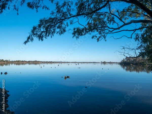 Fototapeta lake and trees
