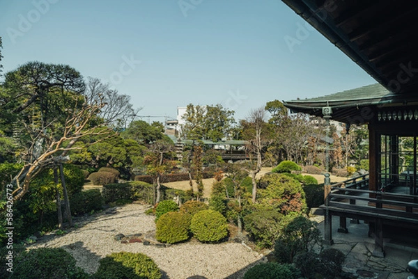 Obraz 日本庭園