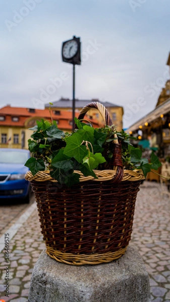 Obraz flowers in a basket