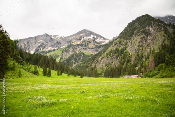 Obraz Tannheimer Tal mit Berge und Wandern
