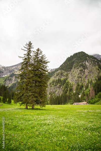 Obraz Tannheimer Tal mit Berge und Wandern