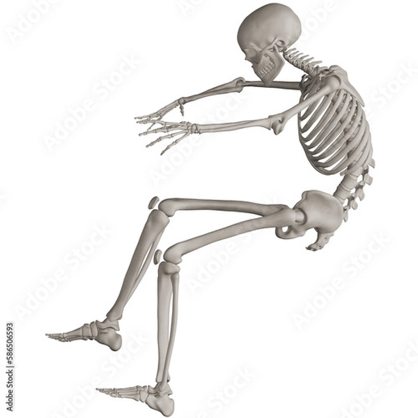 Fototapeta skeleton posing 3d render illustration with transparent background