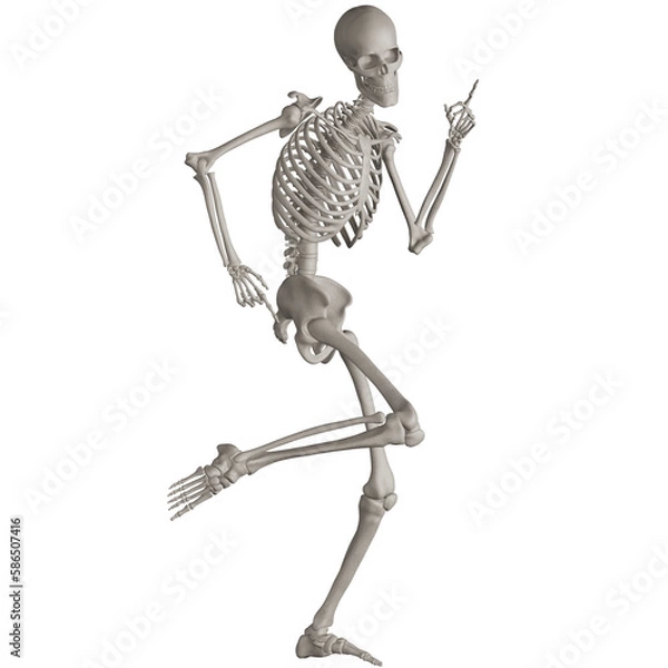 Fototapeta skeleton posing 3d render illustration with transparent background