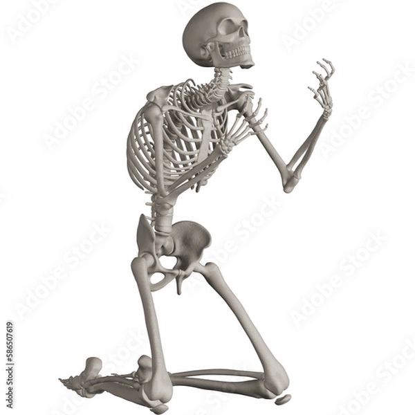 Fototapeta skeleton posing 3d render illustration with transparent background