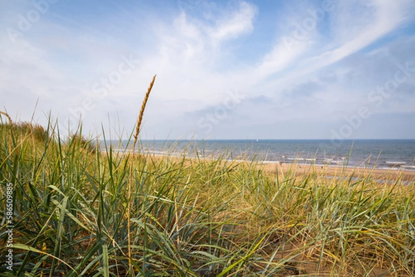 Obraz  Zandvoort in Holland 