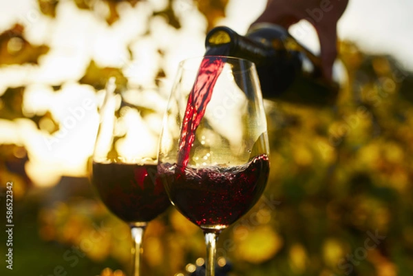 Obraz Pouring red wine into glasses at sunset