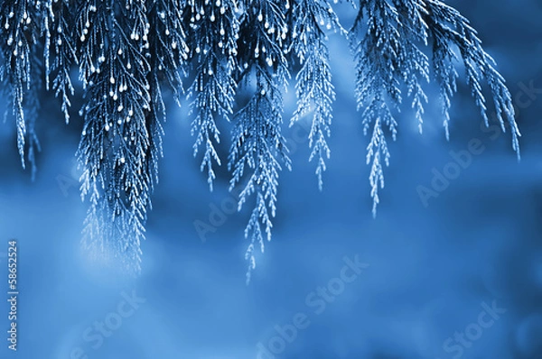 Obraz Christmas background