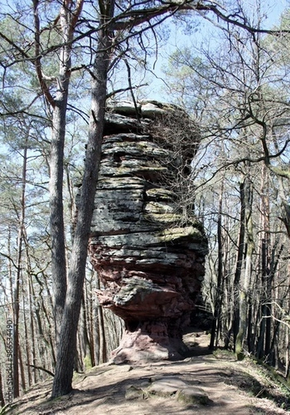 Obraz Wandern im Wald