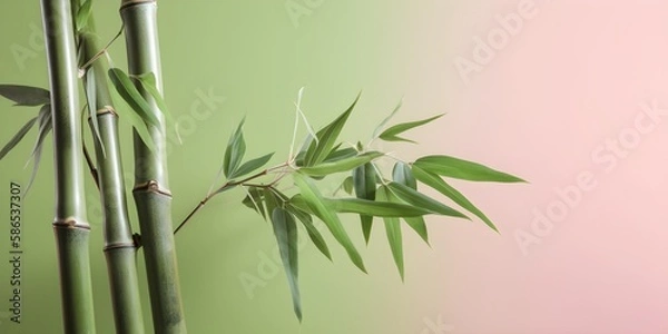 Fototapeta Bamboo Leaves On Pastel Colored Wall Background | Generative AI Artwork