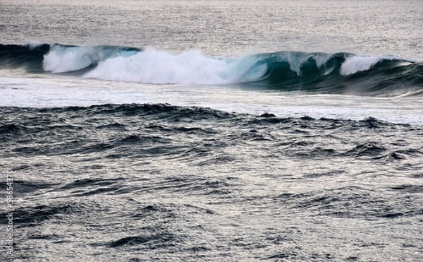 Obraz surfing the wave