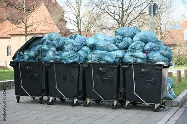 Obraz Mülltonnen