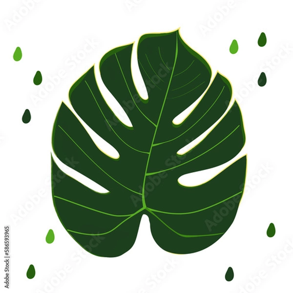 Obraz Cute Monstera leaf on white background. Vector illustration