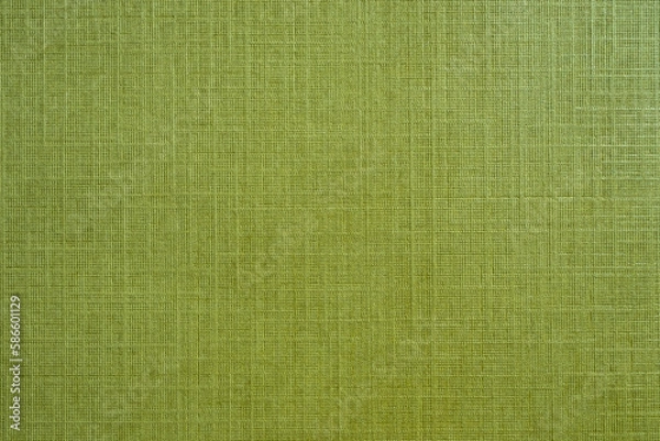 Fototapeta Green geltex clothbound book cover with canvas-like texture