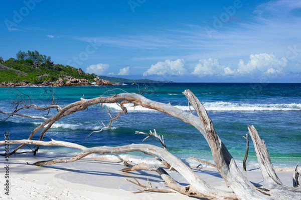Fototapeta Amazing empty beach on Seychelles