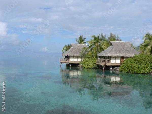 Fototapeta Moorea