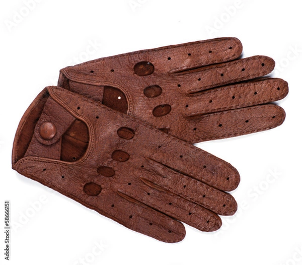 Obraz race gloves