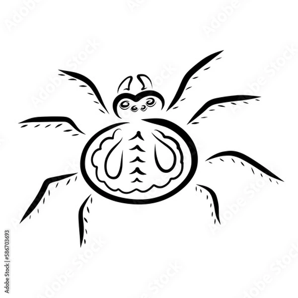 Obraz large round spider with a pattern on the back, black abstract outline on a white background