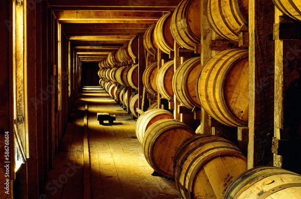Fototapeta Whiskey whisky bourbon maturing in barrels in old store warehouse at the distillery, Tennessee, USA