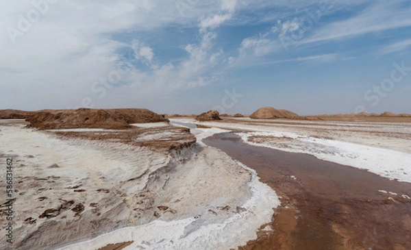 Fototapeta View of the Kalshour River or Shor river (salty river) in Lut Desert, Kerman Province, Iran