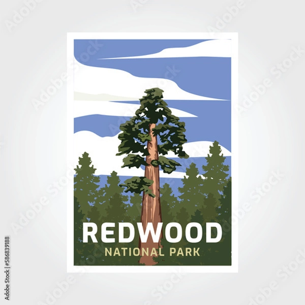 Fototapeta Redwoods National park in California poster illustration design.