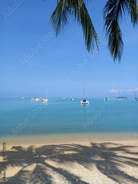 Fototapeta Sailboats and palm trees on the beach in Koh Samui, Thailand. Ocean landscape as background. 