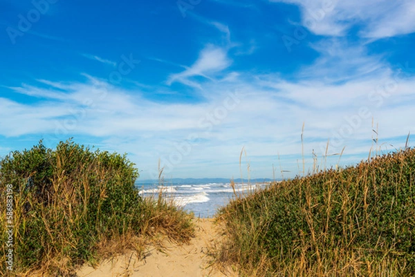Obraz Bord de mer lumineux