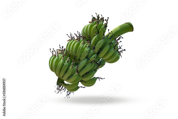 Fototapeta Fresh green raw bananas on white background and shadow material