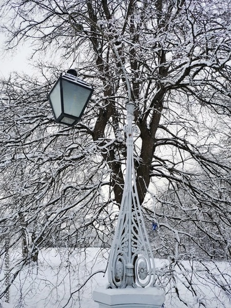 Obraz A beautiful, forged, street lamp against the background of a snow-covered tree and a blue sky with clouds in a city park in early spring in St. Petersburg.