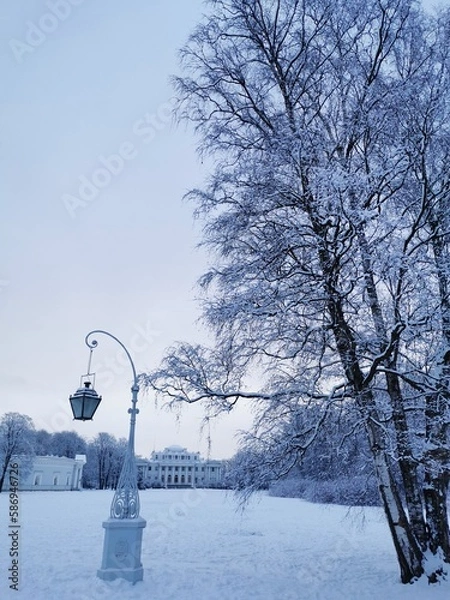 Obraz A beautiful, forged, street lamp against the background of a snow-covered tree and a blue sky with clouds in a city park in early spring in St. Petersburg.