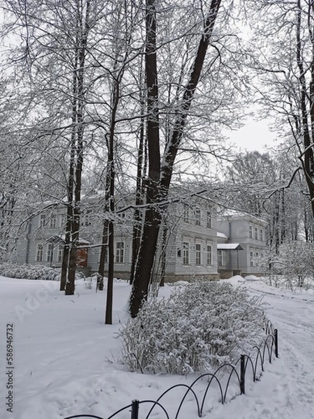 Obraz A road leading to a gray two-story building among snow-covered trees in a city park on Elagin Island in St. Petersburg.
