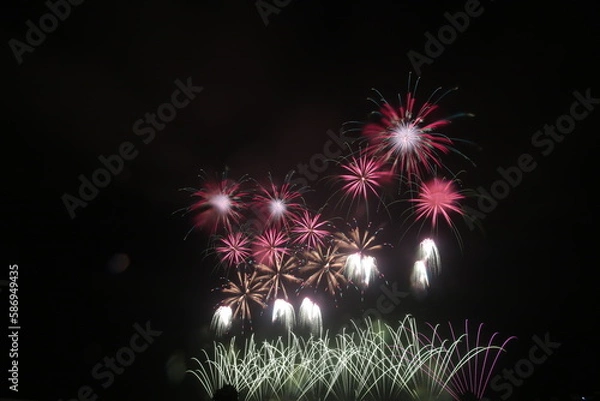 Obraz 長岡花火大会