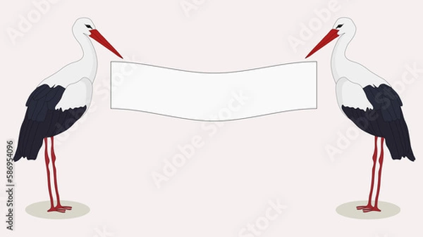 Fototapeta background with two storks