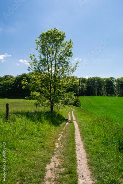 Fototapeta Landschaft