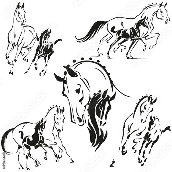 Obraz mares and foals 2