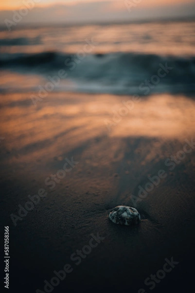 Obraz sunset on the beach