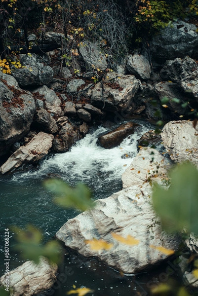Obraz waterfall in the forest