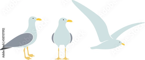 Obraz Seagull logo. Isolated seagull on white background. Bird