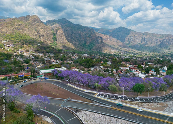 Obraz Jacarandas Tepoztlán