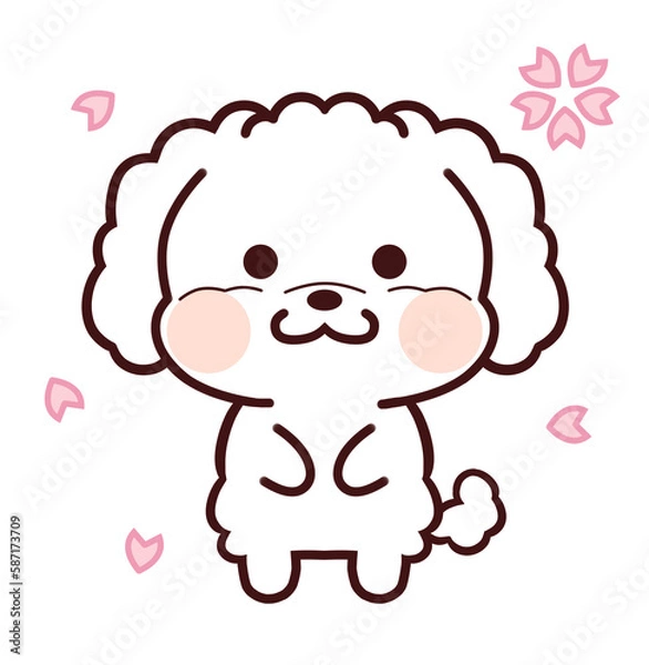 Obraz 桜を見上げる白いトイプードル